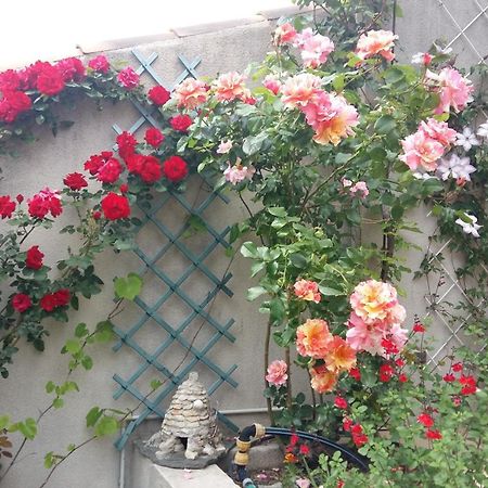 Pujaut Au Bon Penequet B&B 외부 사진