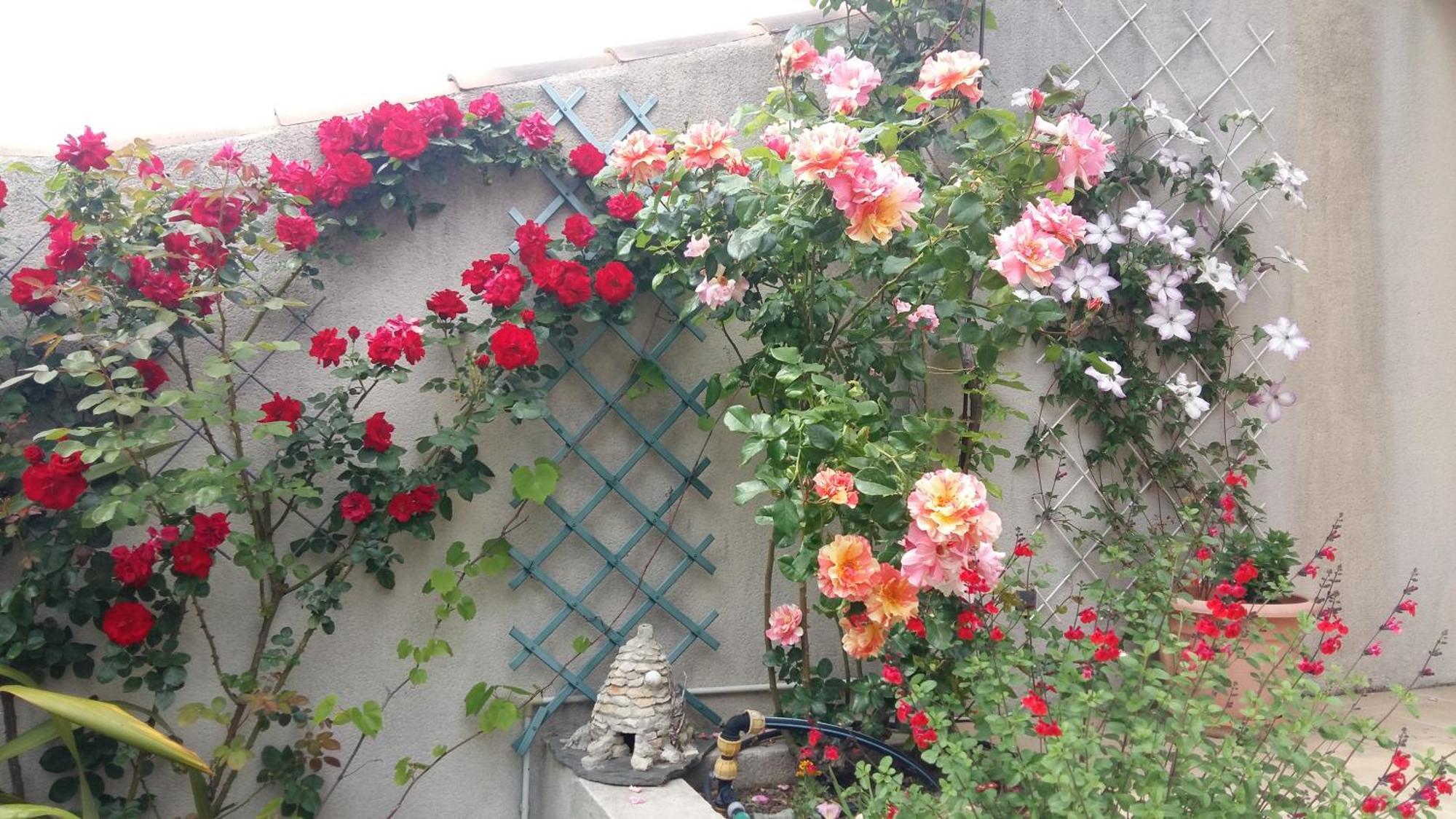 Pujaut Au Bon Penequet B&B 외부 사진