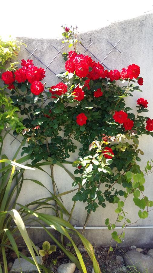 Pujaut Au Bon Penequet B&B 외부 사진